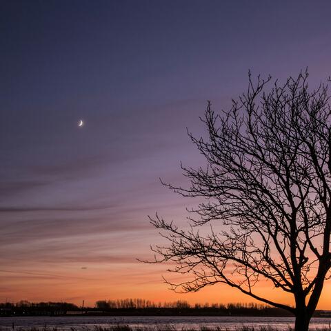 winter moon