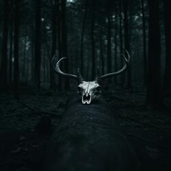 Tu es tergum (with Karolina Rompa)