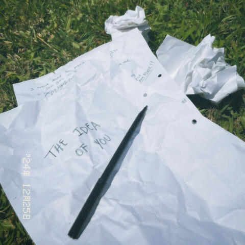 the idea of you