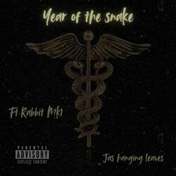 Year of the snake