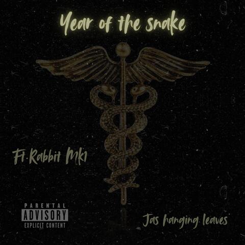 Year of the snake