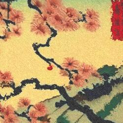 sakura