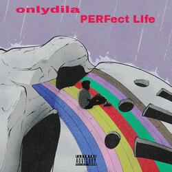 PERFect LIfe