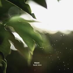 Dawn