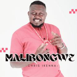 MALIBONGWE