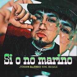 Si o No marino