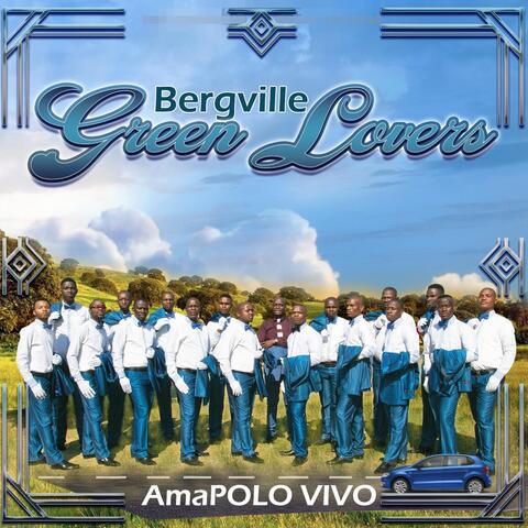 AmaPolo Vivo