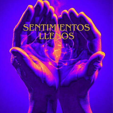 Sentimientos Llenos