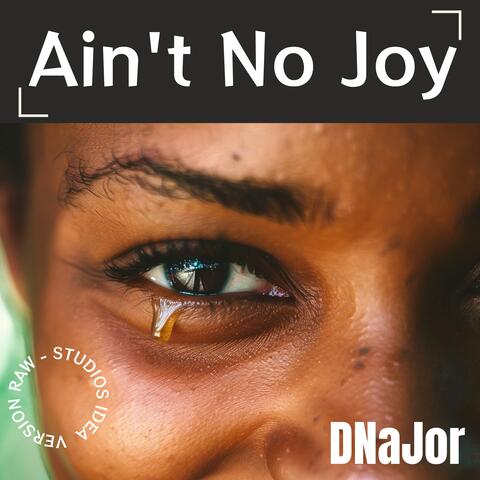 Ain't No Joy (RAW Studios Idea Version)