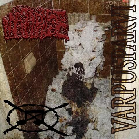 VARPUSPARVI