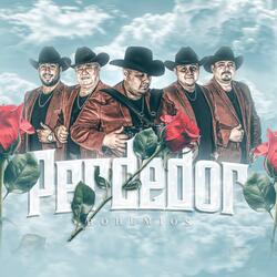Perdedor