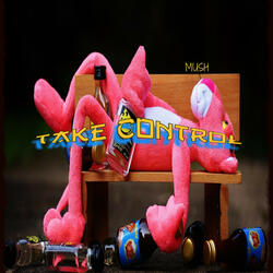 Take Control