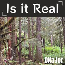 Is it Real (RAW Studios Idea Version)