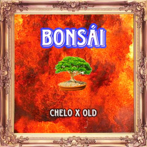 BONSÁI