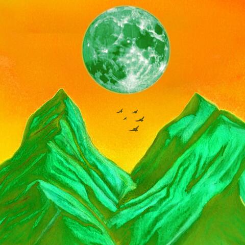 Fly Within