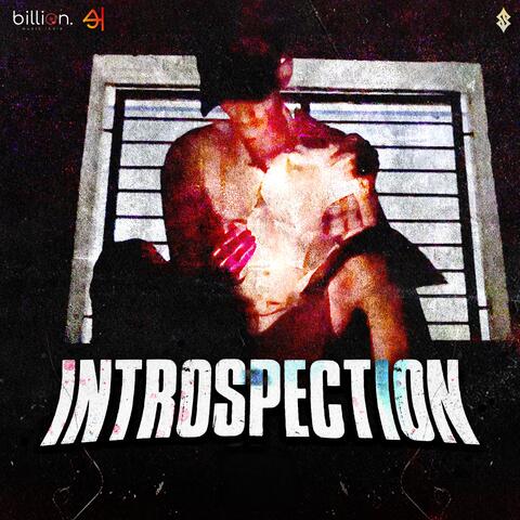 INTROSPECTION