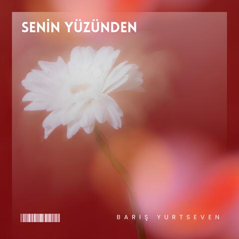 Senin Yüzünden