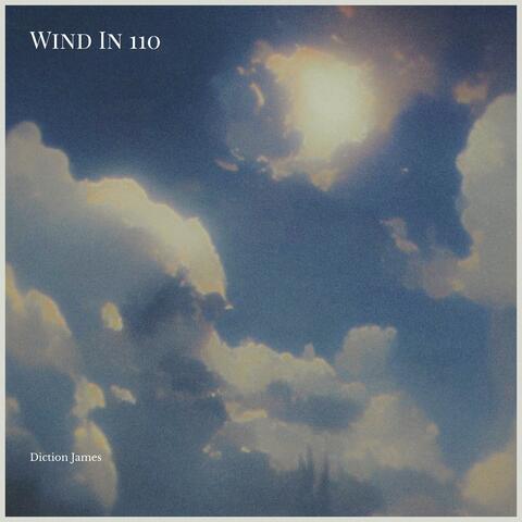 Wind In 110