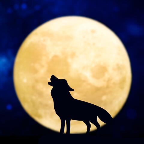 Wolf's Dream