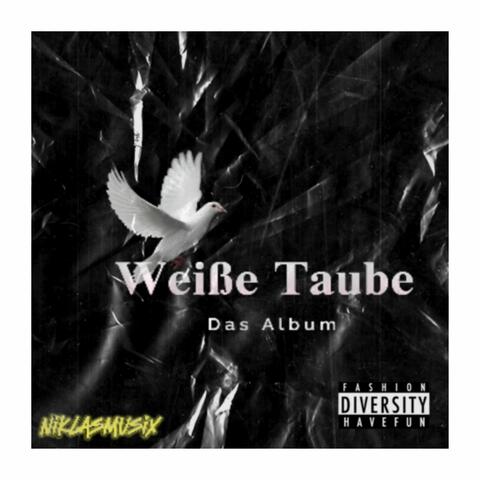 Weiße Taube