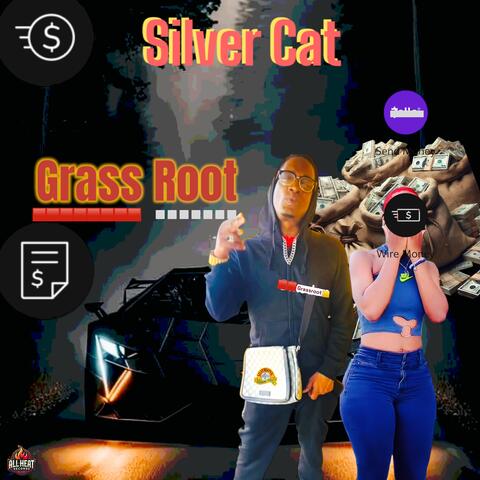Grass root
