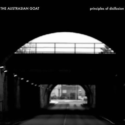 Principles of disillusion