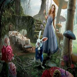 WonderLand