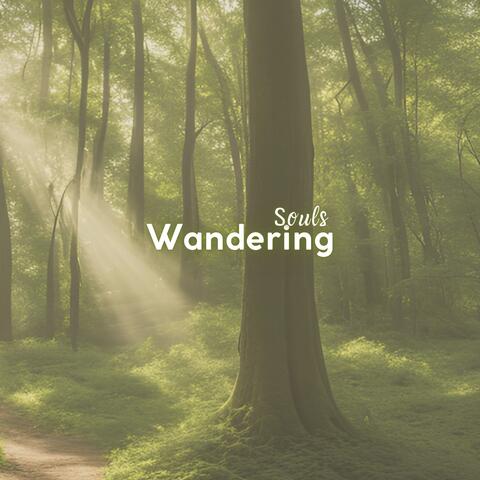 Wandering Souls