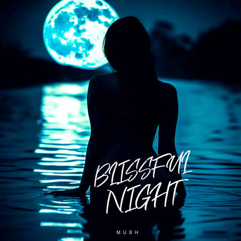 Blissful Night