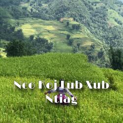 Nco Koj Lub Xub Ntiag