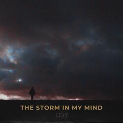 THE STORM IN MY MIND