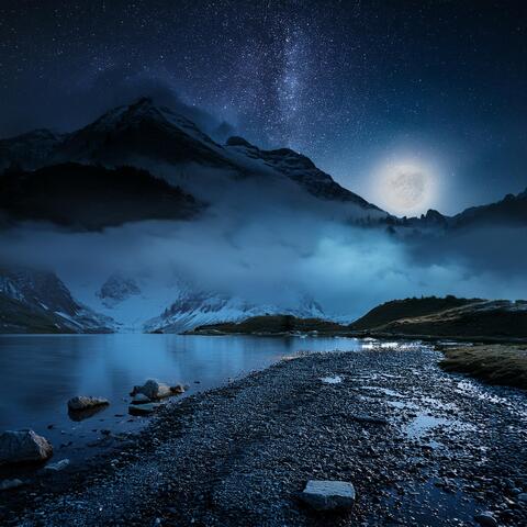 Silent Reverie