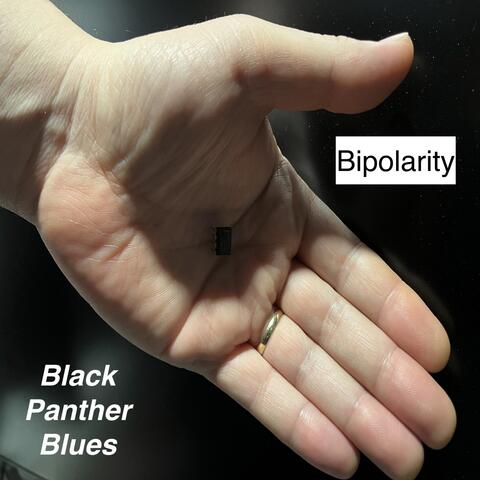 Bipolarity