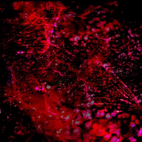 Poison