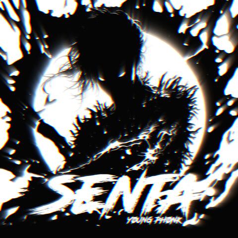 SENTA