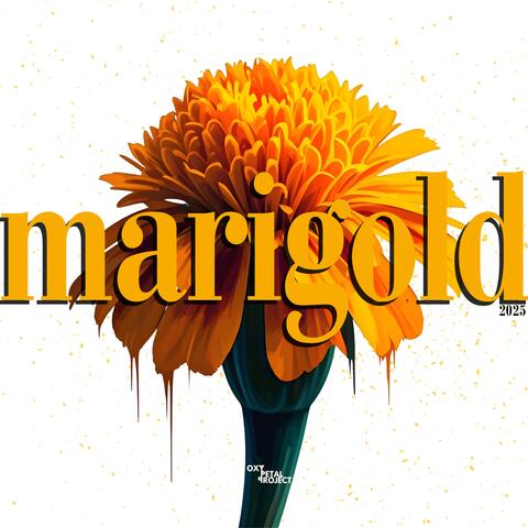 Marigold