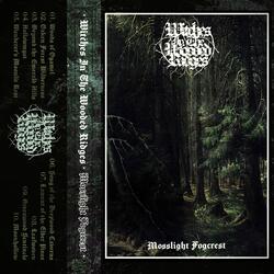 Song of the Deepwood Caverns