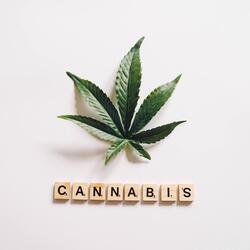 CANNABIS