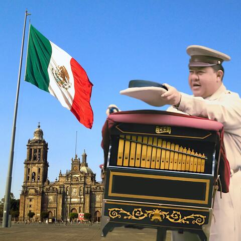 CDMX Organillero, Flor de Capomo