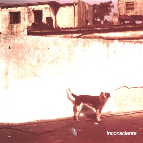 alguno de estos días