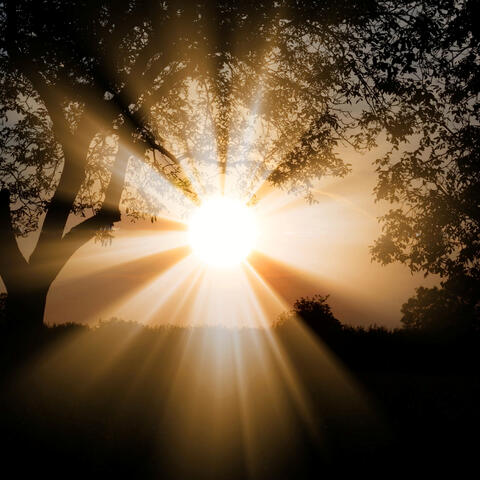 Moonlight on Broken Strings