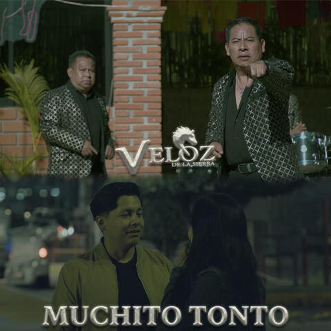 Muchito Tonto