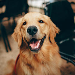 Floating Through Time