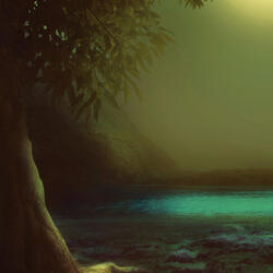 Echoing Through the Infinite Void