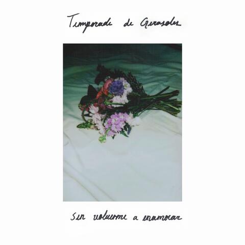 sin volverme a enamorar