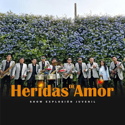 Heridas de Amor