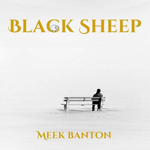 Black Sheep