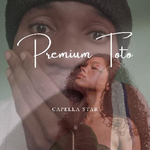 Premium Toto
