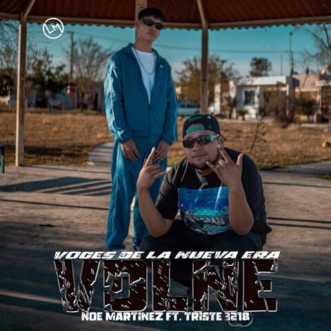 V.D.L.N.E. (Voces De La Nueva Era)