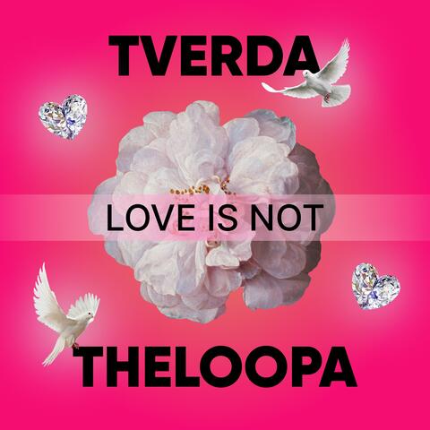 LOVE IS NOT